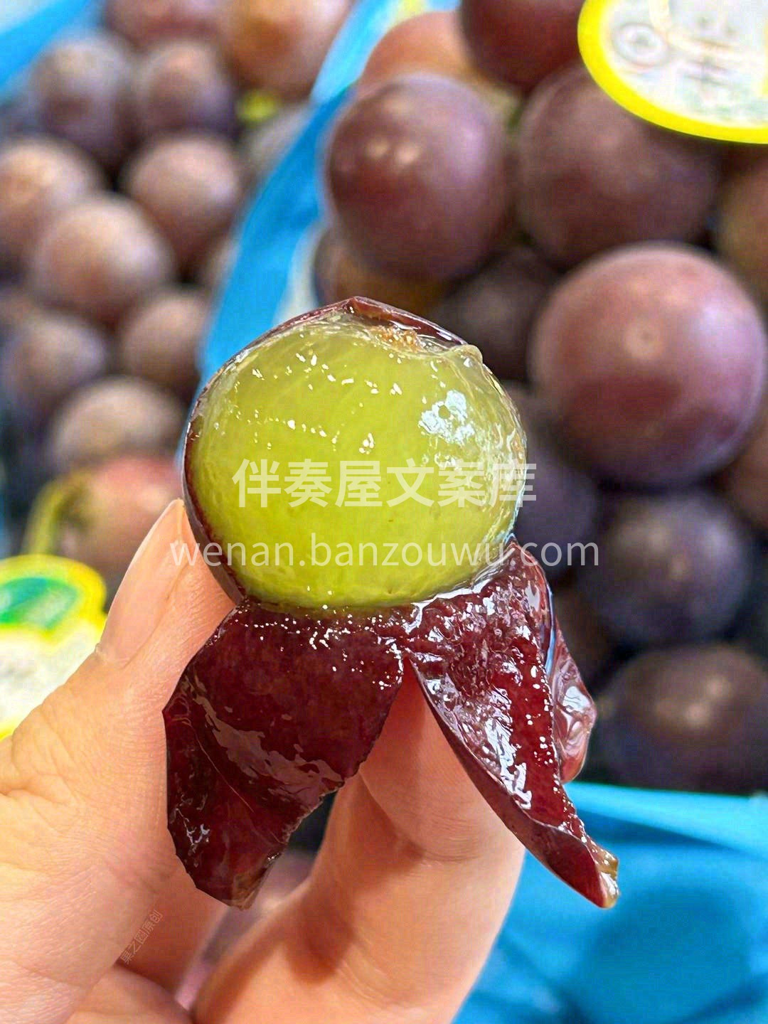 🍇这个夏天你躲不掉的一串葡萄~~ 大如乒 配图2