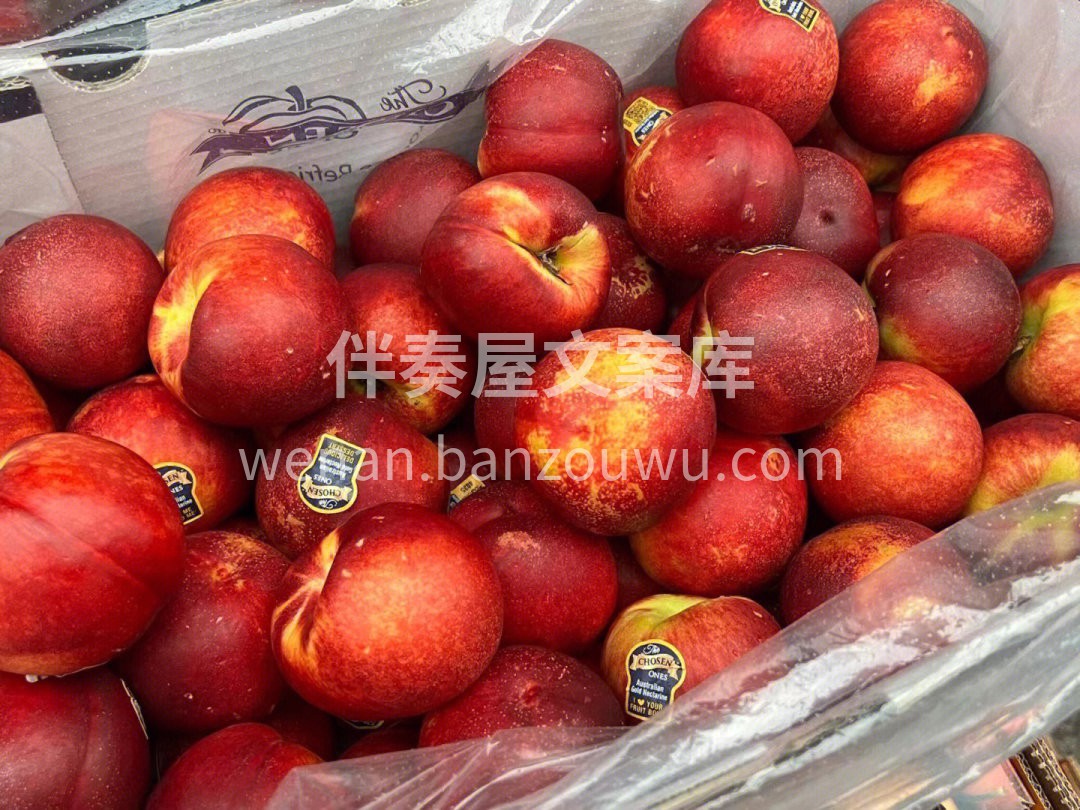 澳洲·chosen金腰带黄肉油桃🍑顶级货 配图2