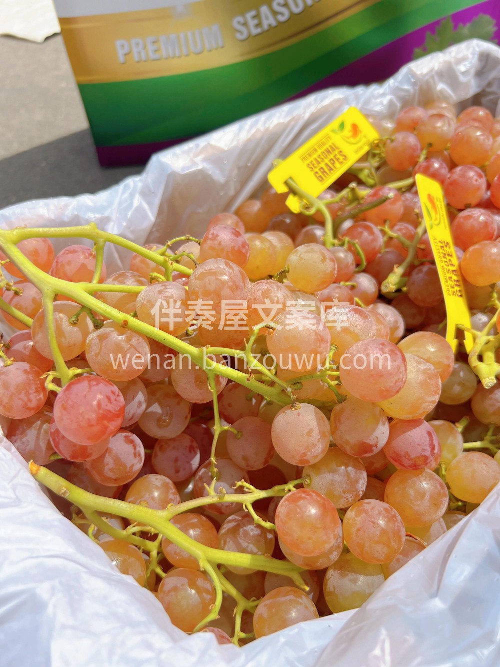LYCHEE GRAPES荔枝香🍇来自智 配图3