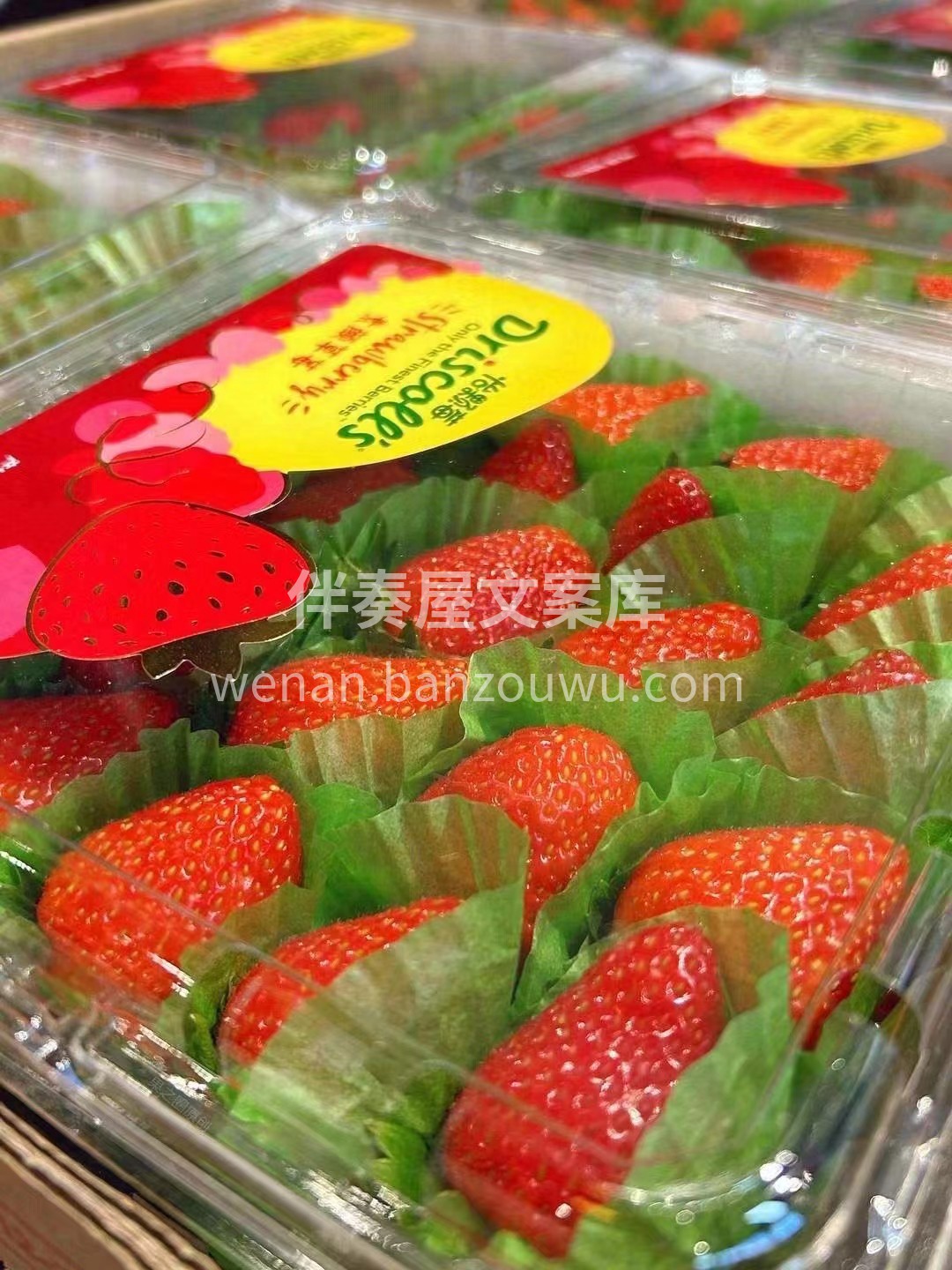 怡颗莓“素颜草莓”🍓 第一手👍Drisc 配图1