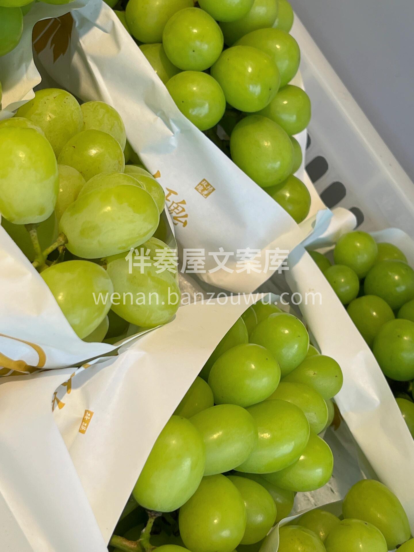 🎉阳光玫瑰，如诗如画的美味🍇 果肉晶莹剔 配图2