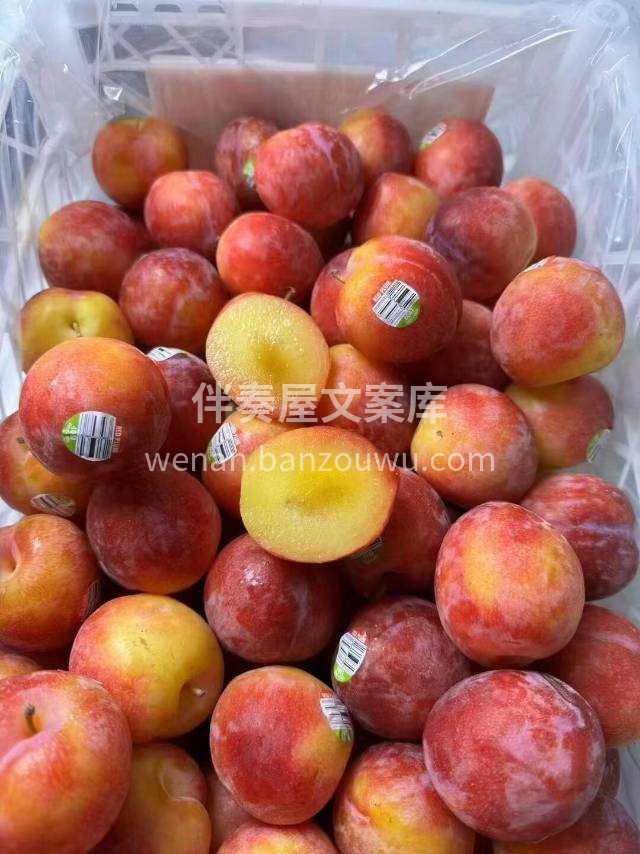 一吃就让人爱上的珠宝李😍 糖度要比一般的 配图3