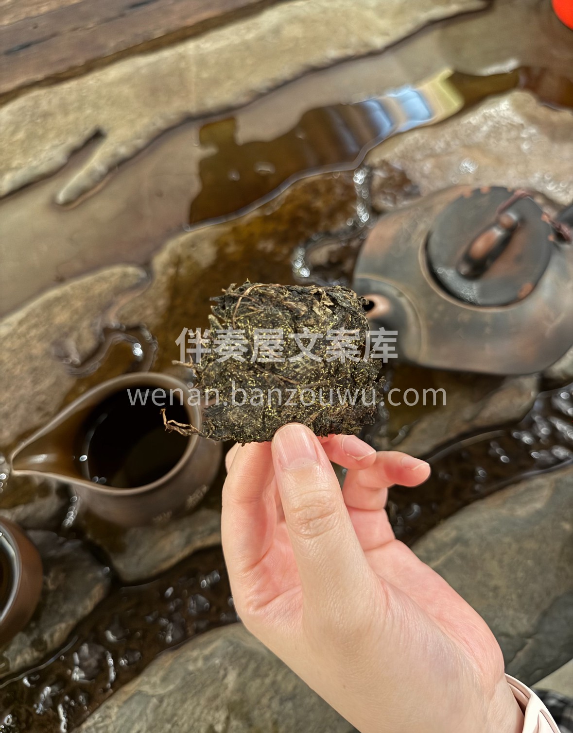 手掰一块安化茯砖，金花密布如星落。沸水冲 配图1