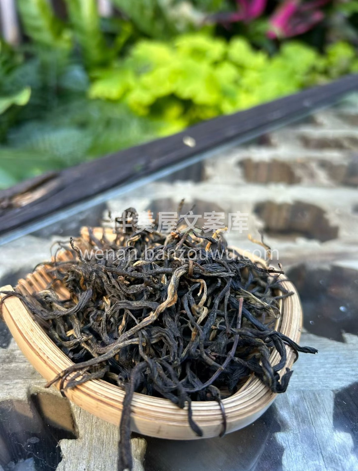 古树红茶｜山野馈礼，红韵天成 百年古树汲 配图1