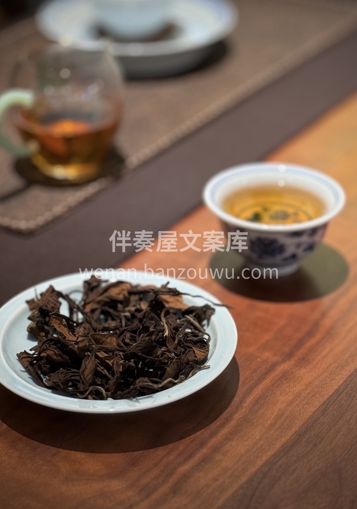 一年更比一年好，一茶更比一年香。福鼎老白 配图1