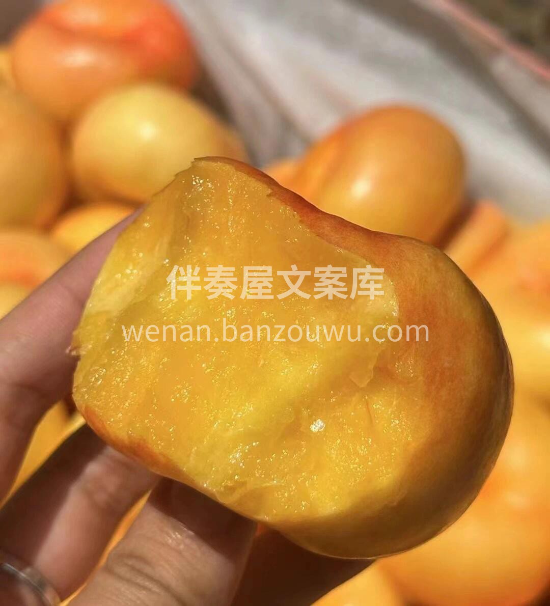 🍑黄油蟠桃上架啦✨ 黄澄澄的外皮和果肉， 配图2