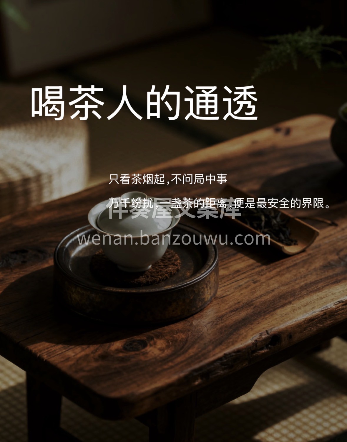 汲山泉水，采云雾茶。或绿或红，或乌龙白茶 配图1