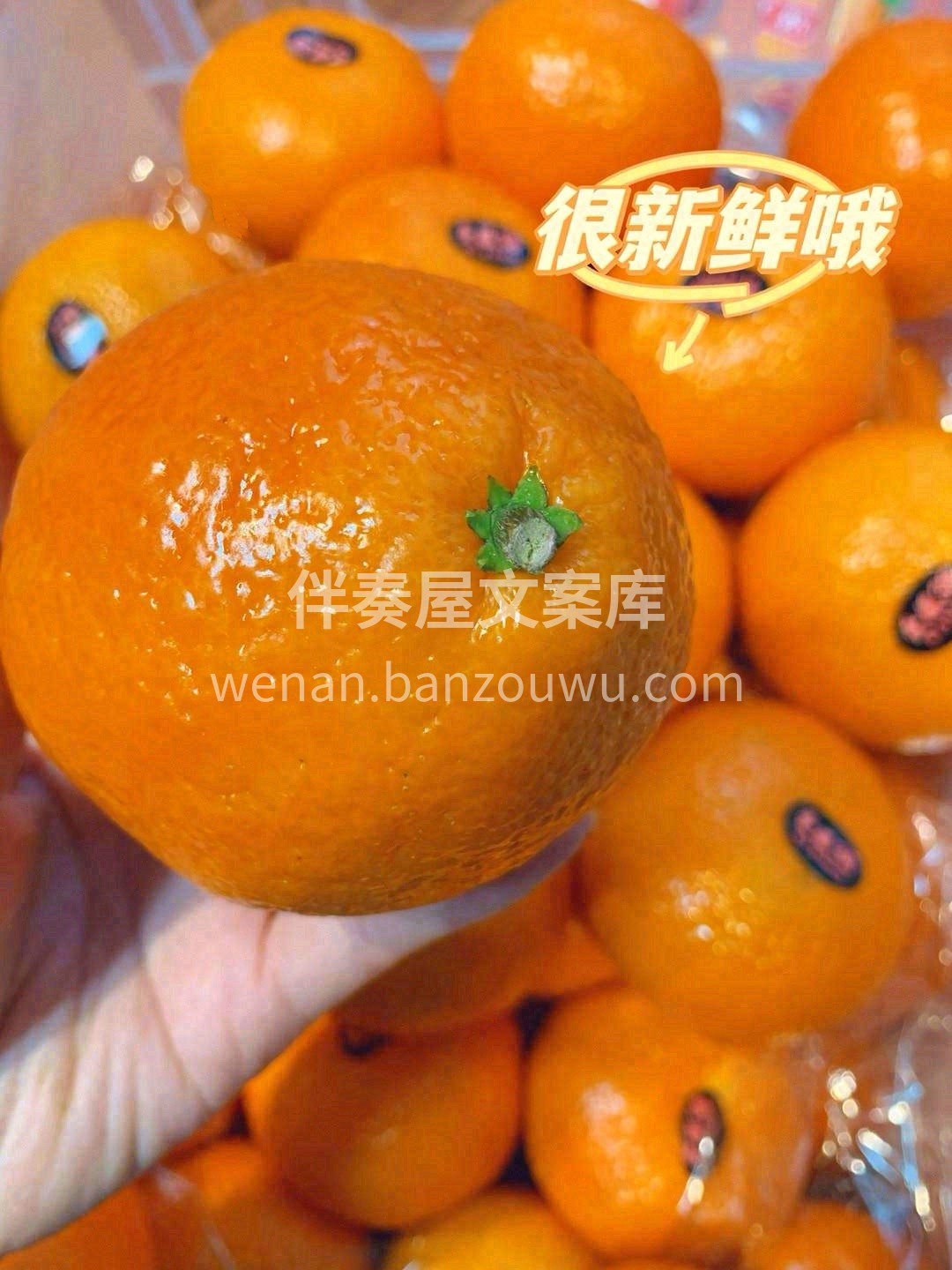 🍻汁水充足，鲜嫩的果肉在嘴里炸开💥 像喝 配图2