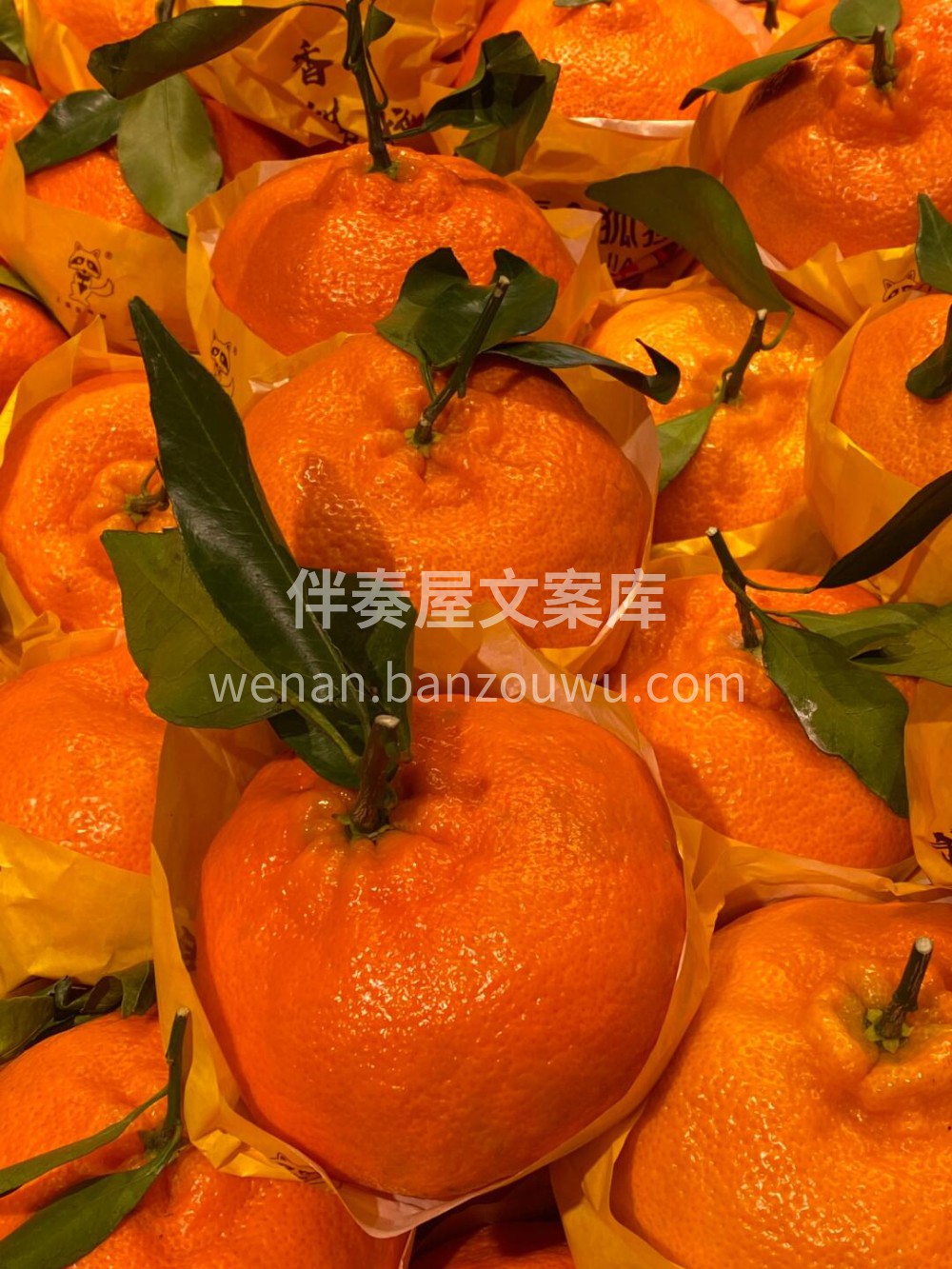 金狐狸甘平橘🦊肉质紧实饱满且细腻 多汁味 配图1