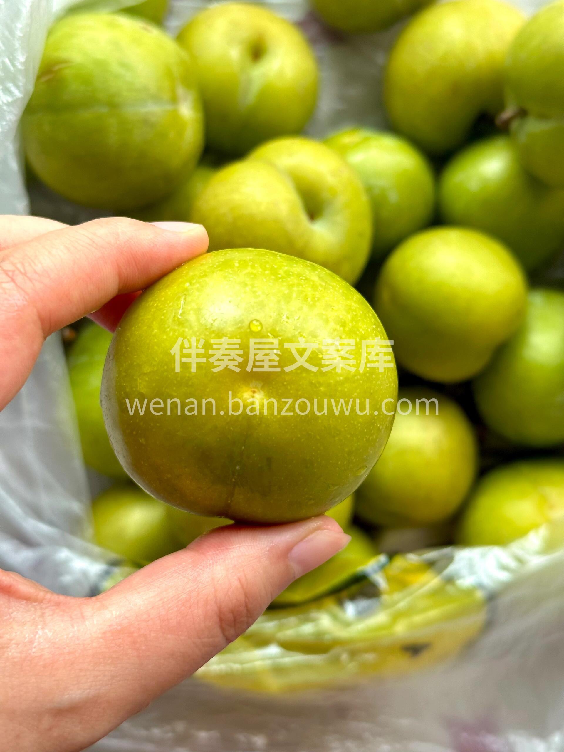 🥰不知道怎么夸，真的好好吃，这李子一看就 配图2