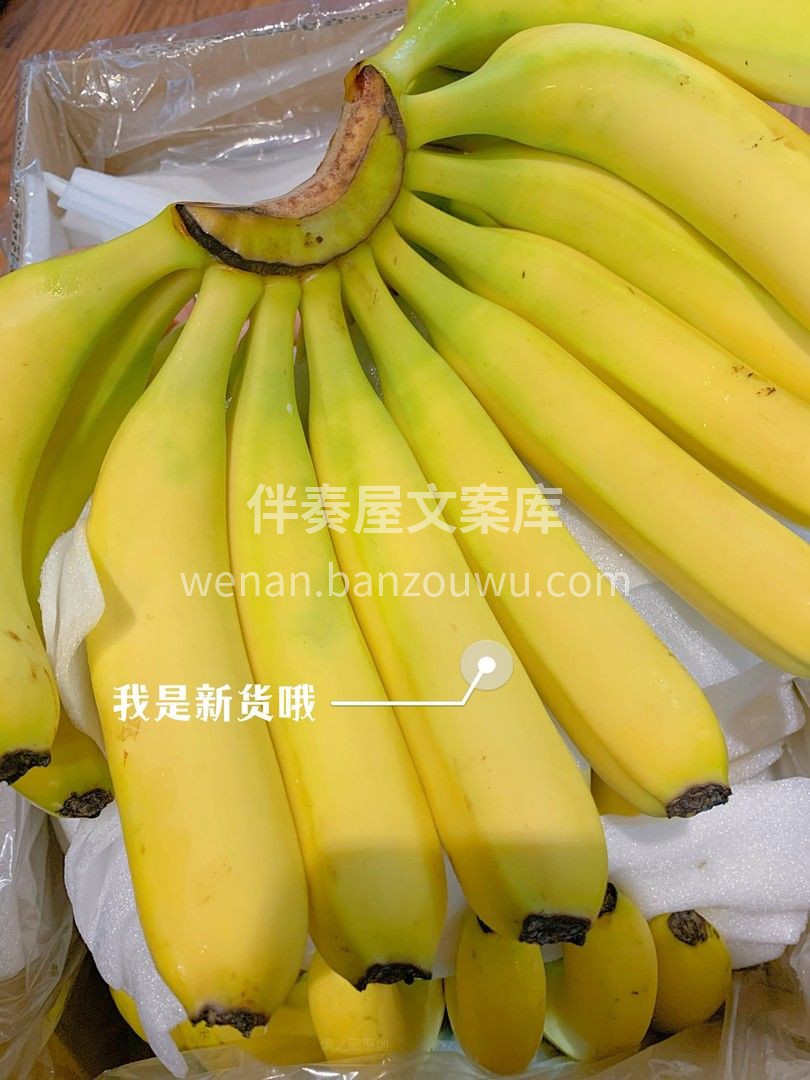 🍌“多巴胺小巨人” 咱家的菲律宾香蕉甜度 配图2