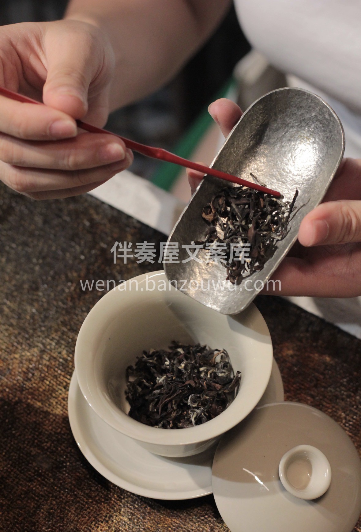 冬夜寒星落窗台，一壶东方美人来。源自台湾 配图1
