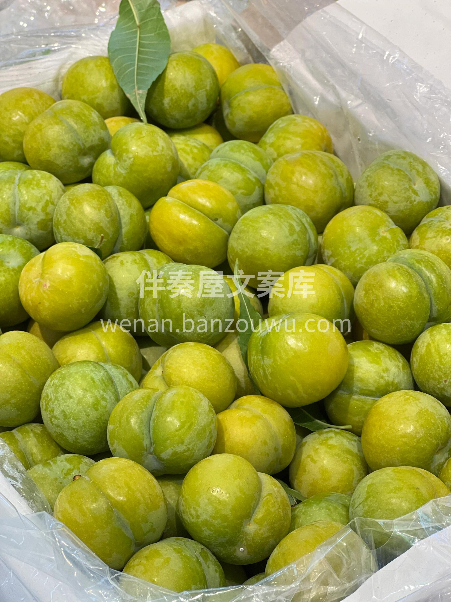 无限回购❗️❗️❗️ 最近超爱的一款水果 配图2