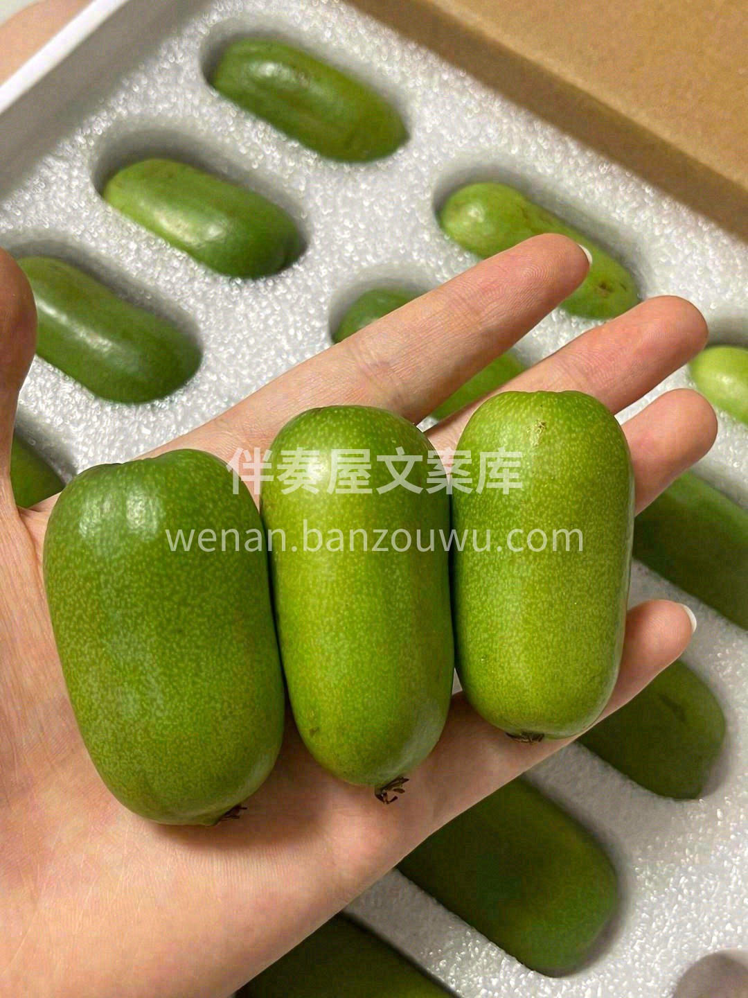 VC之王软枣奇异莓🌿 美容养颜，低卡低热 配图3