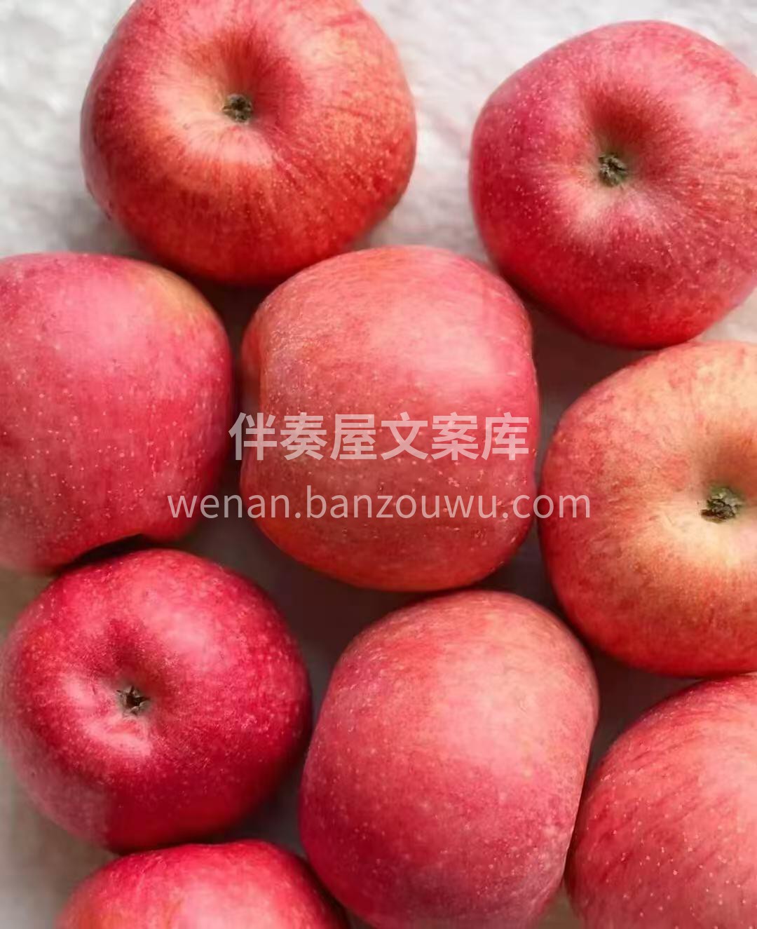 ☘️每天一个苹果～ 要吃就吃最好吃的😋洛 配图2