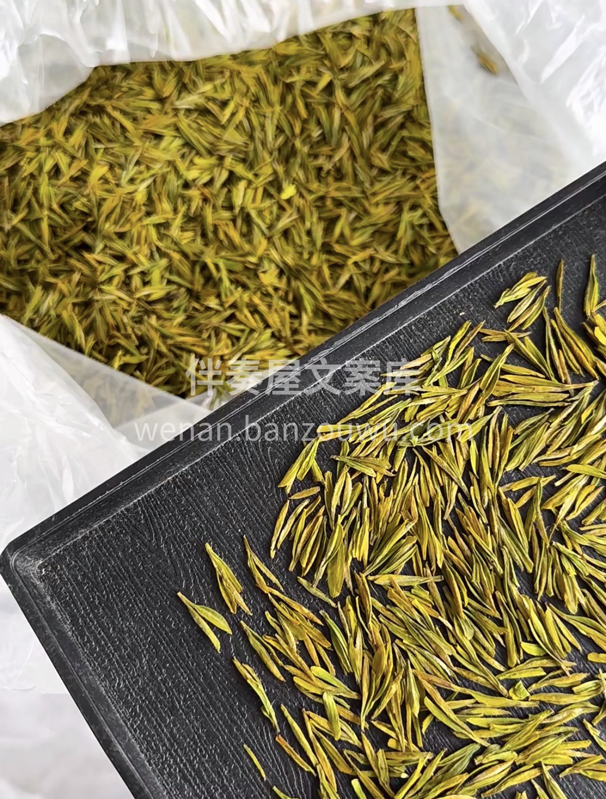 四川蒙顶山明前蒙顶黄芽，黄茶臻品，适配畏 配图2