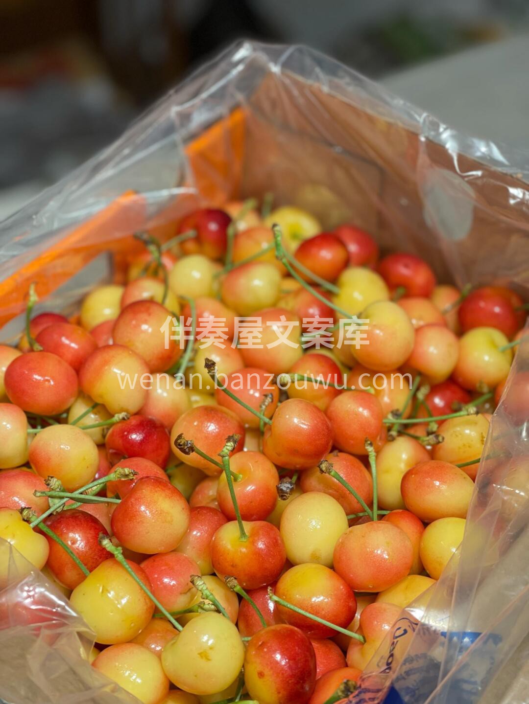 黄车厘子🍒 熟悉的感觉回来了 极品黄车🍒 配图3