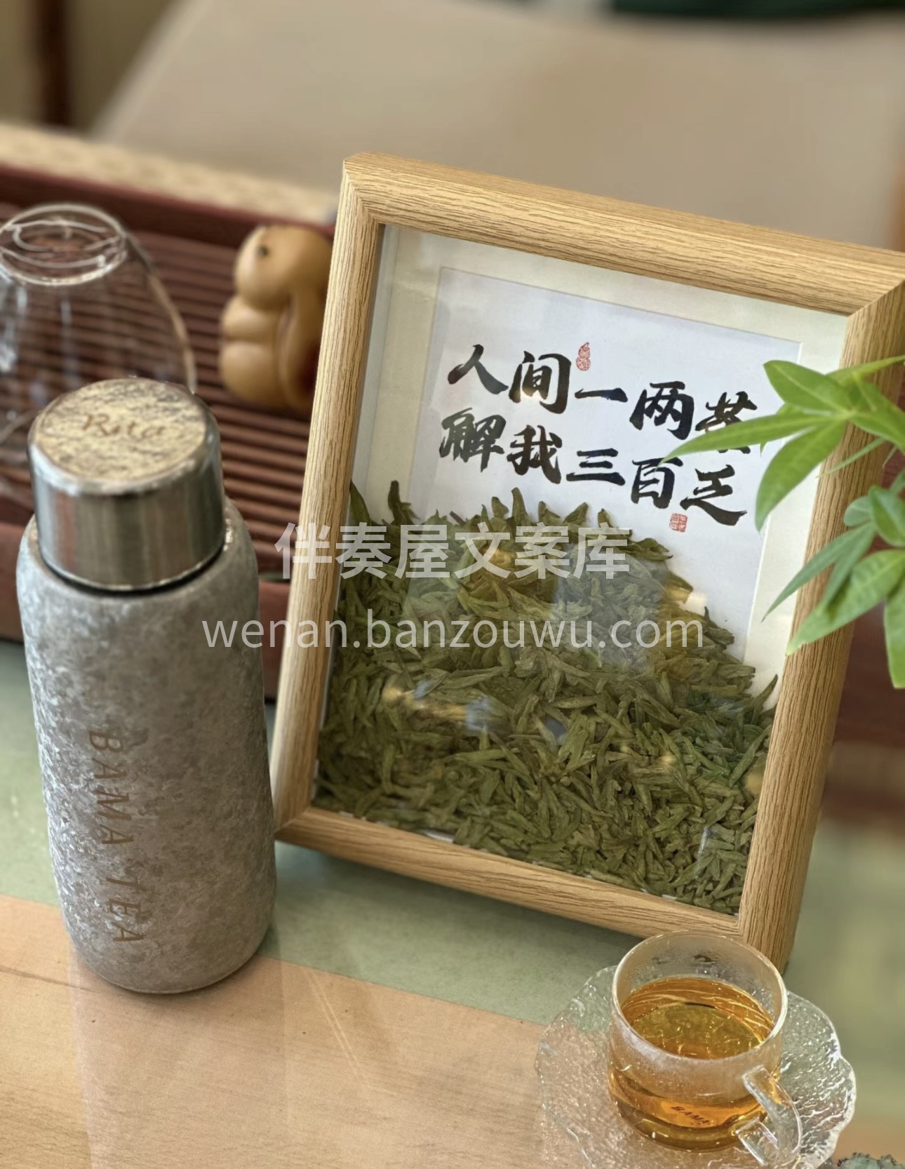 人间一两茶，解我三百乏 朋友该喝茶了 配图2