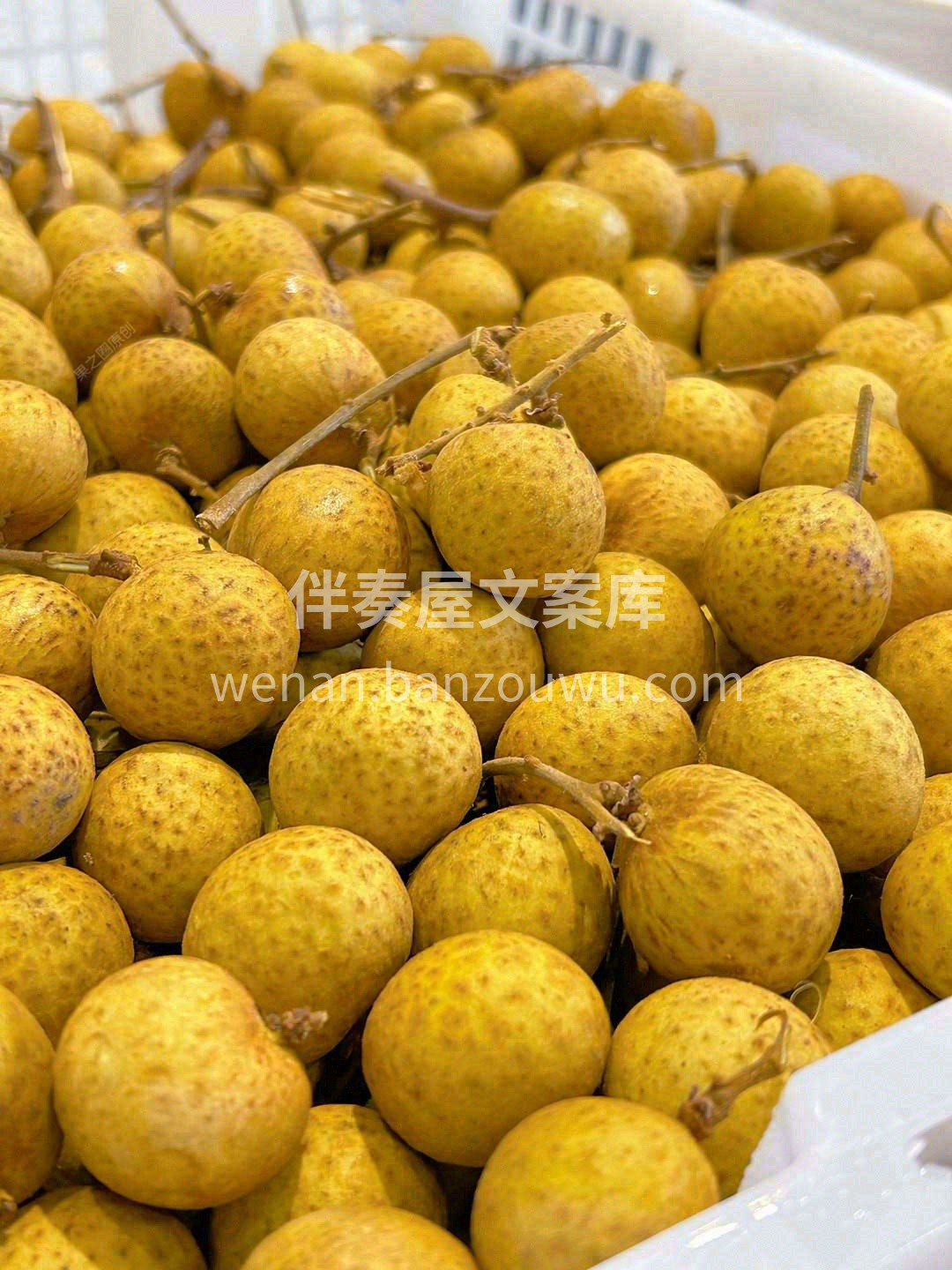这颗龙眼肉质鲜嫩，爽爆味蕾😍 是回味无穷 配图3