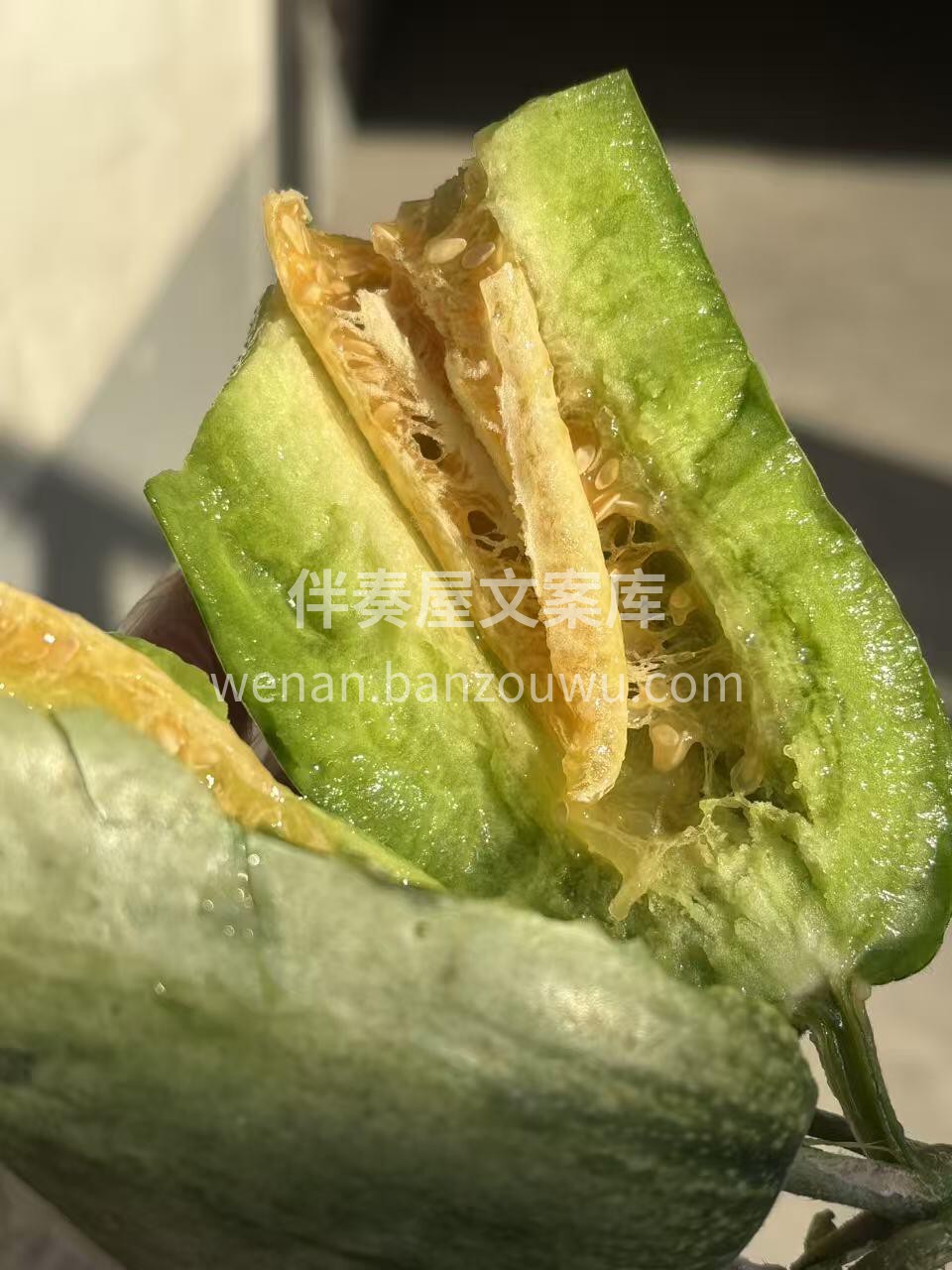 🍈 博洋甜瓜！🍈 瓜香浓郁扑鼻而来👃酥脆 配图2