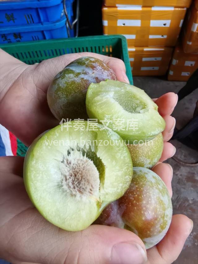 半边红脆李😋，红如霞😍，绿如玉😜 咬一口 配图1