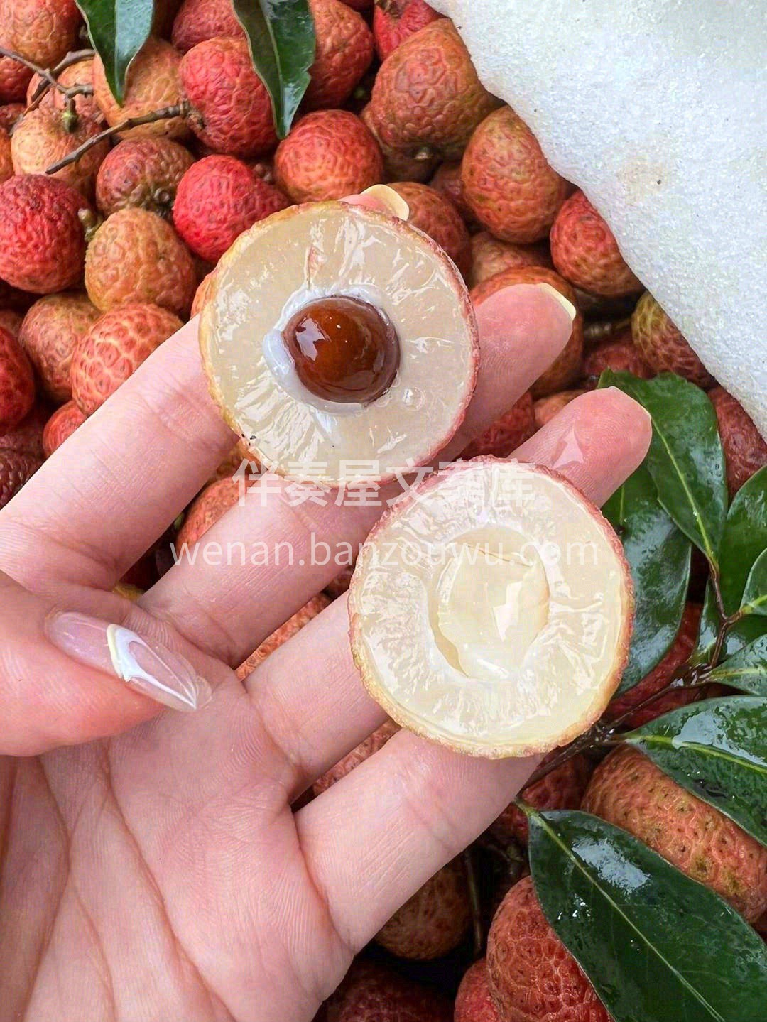 白糖罂—一颗幸福感爆棚的水果💗 如糖水包 配图2
