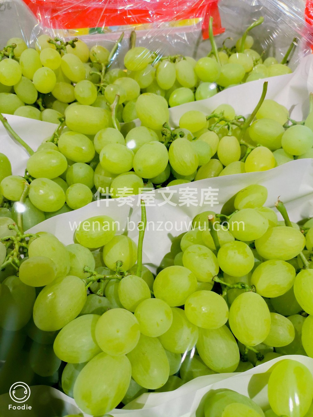 维多利亚青提维多利亚青提🍇 🍀粒粒滋润您 配图1