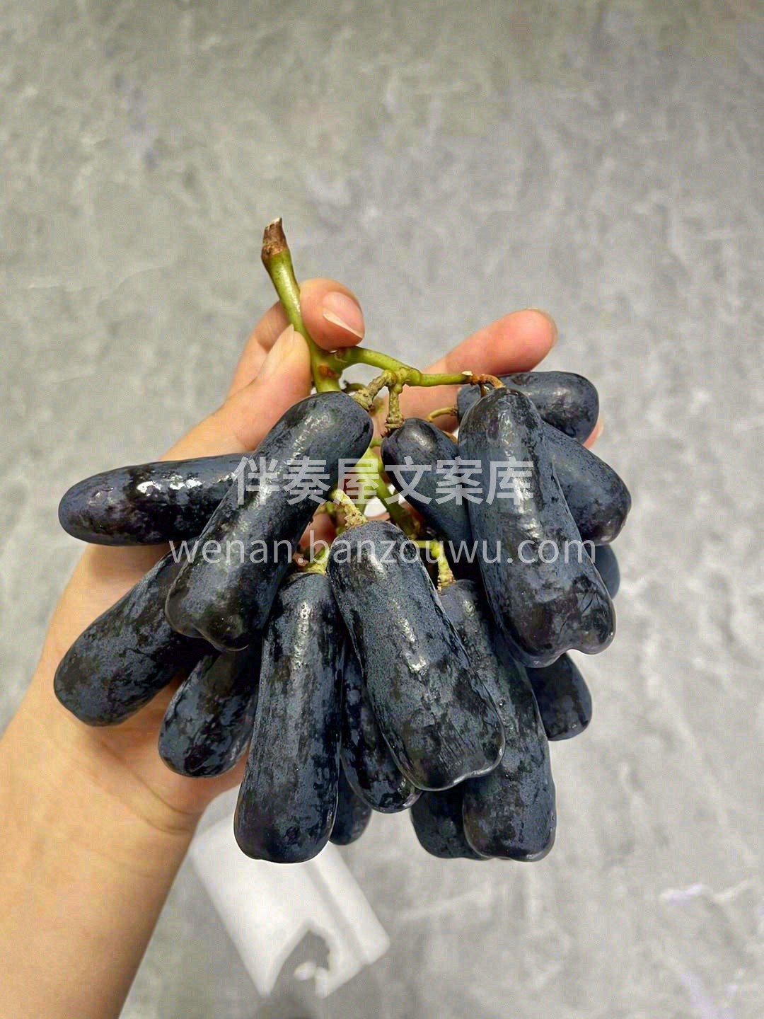 蓝宝石黑提拥有着与众不同的独特口感✨ 放 配图3