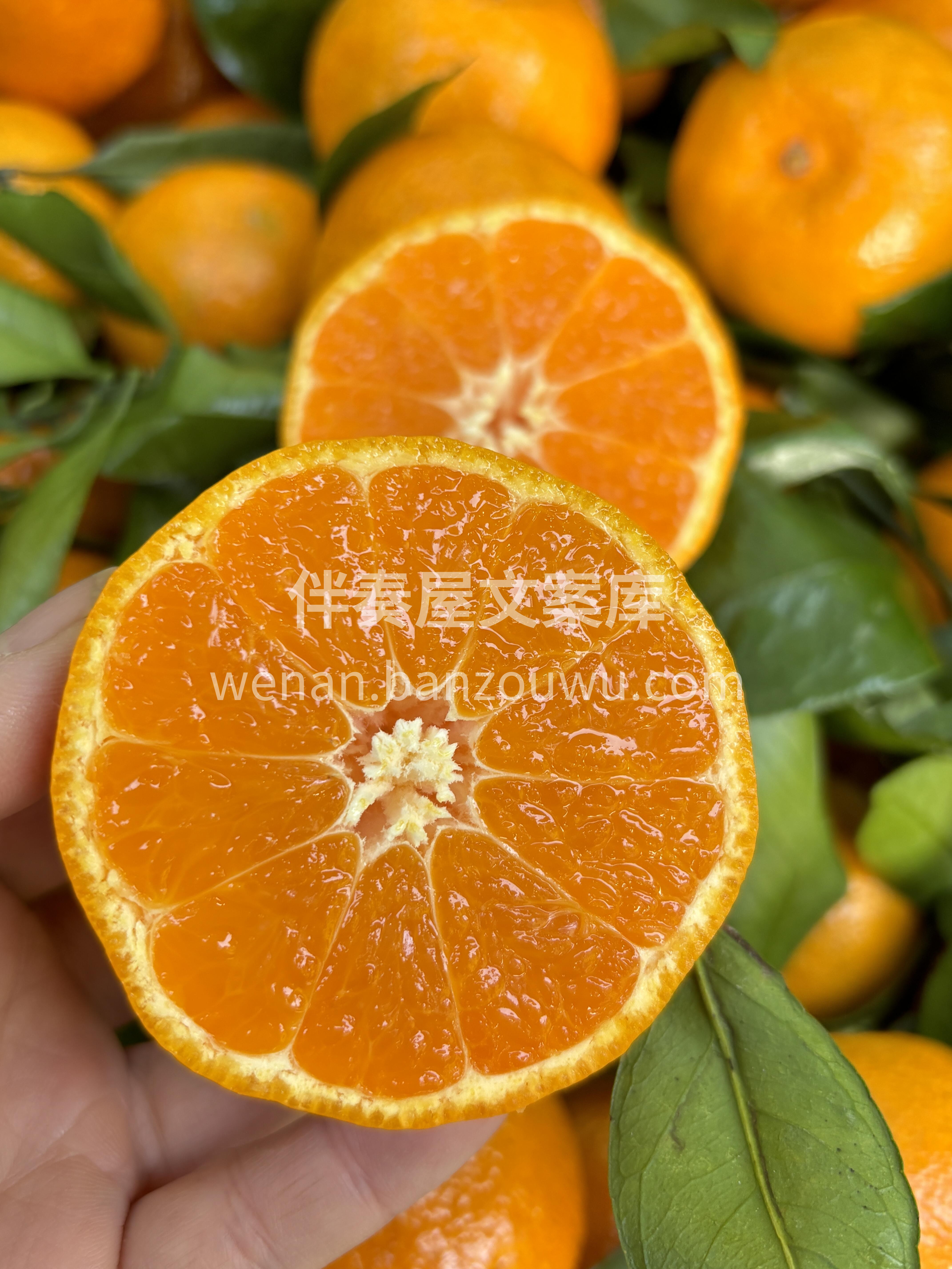🌿季节限定👉云南蜜橘🍊 瓣瓣水嫩🤤，放入 配图3