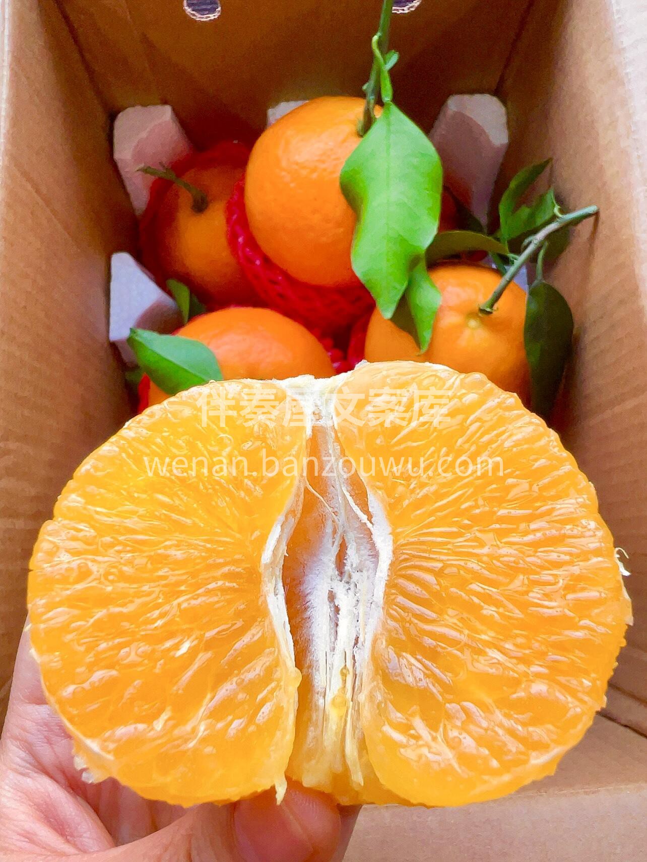 🍊爱媛果冻橙 一款听起来很名媛的水果～果 配图1