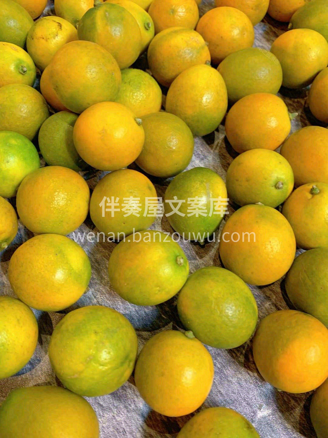 🍊融安金桔吃起来纯甜不酸，桔香浓郁，连皮 配图3