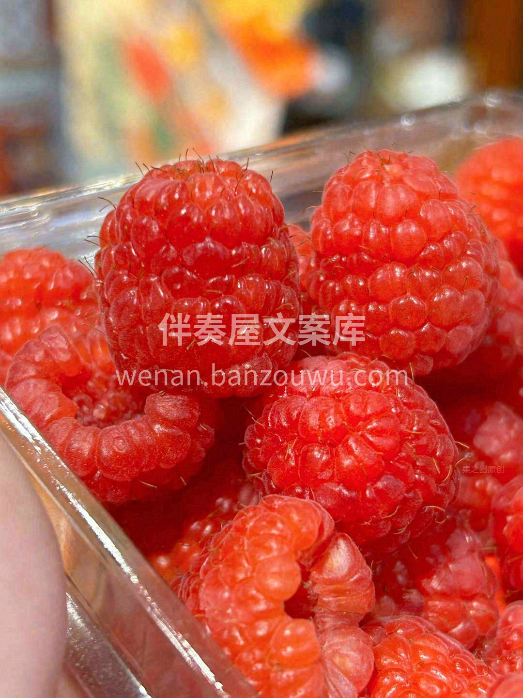 “水果公主”——红树莓✨ 生命的颜色，跳 配图2