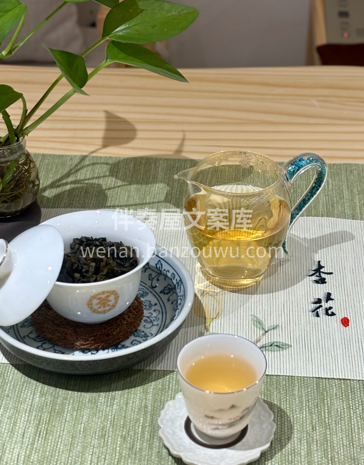 寻一味铁观音，赴一场味蕾雅集。干茶墨绿带 配图2