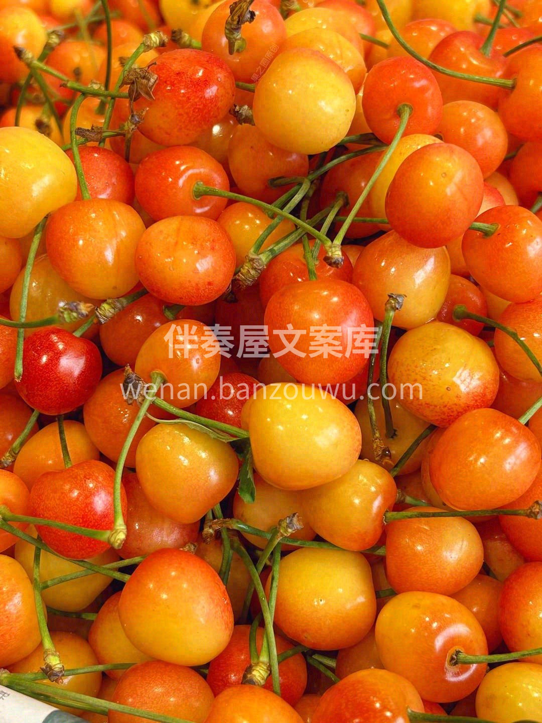 ✨汁水饱满，肉厚核小，口感爽脆💥 入口清 配图3
