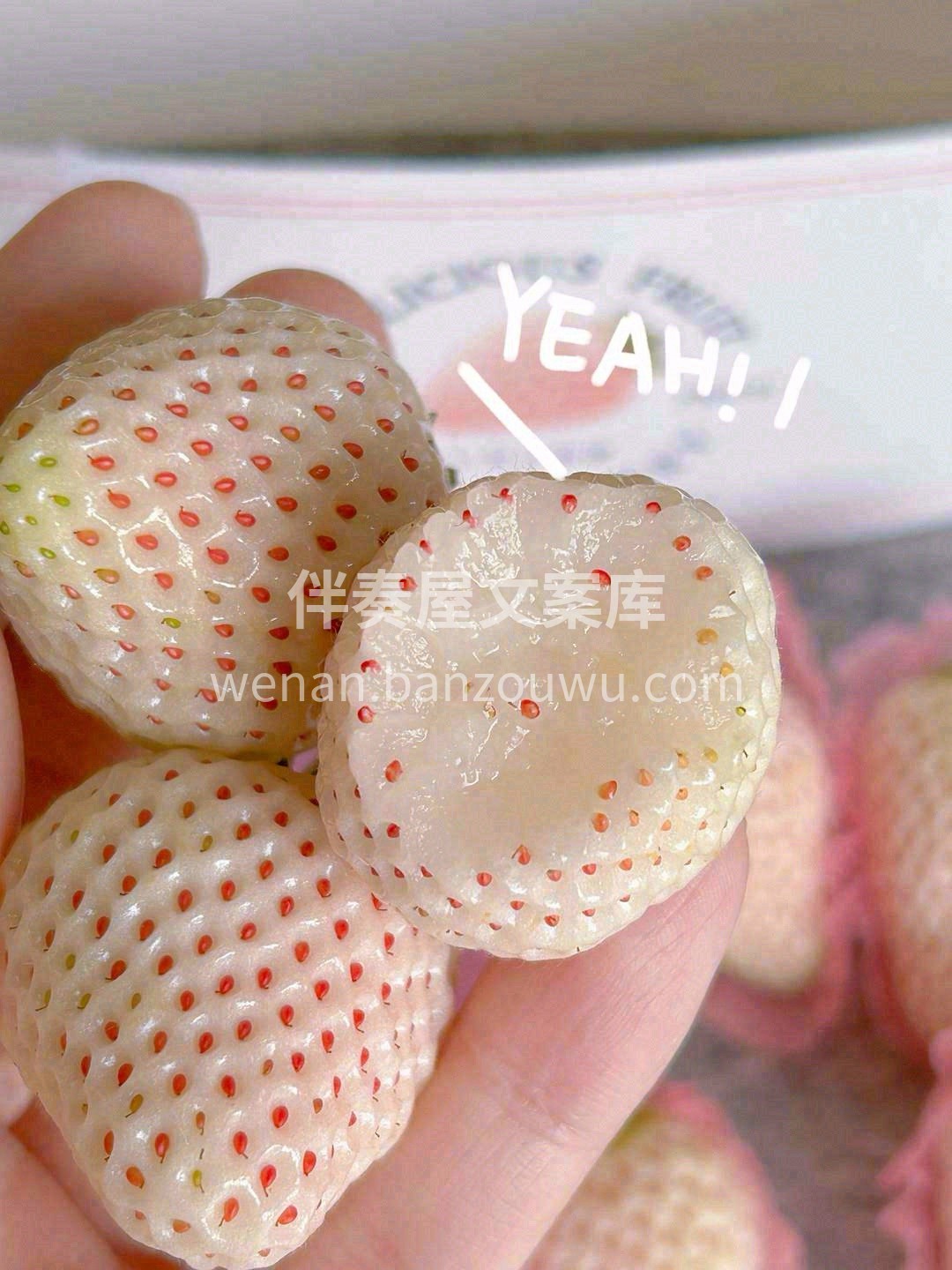 上新❄️！满满少女心💗 心动似“初恋”味 配图1