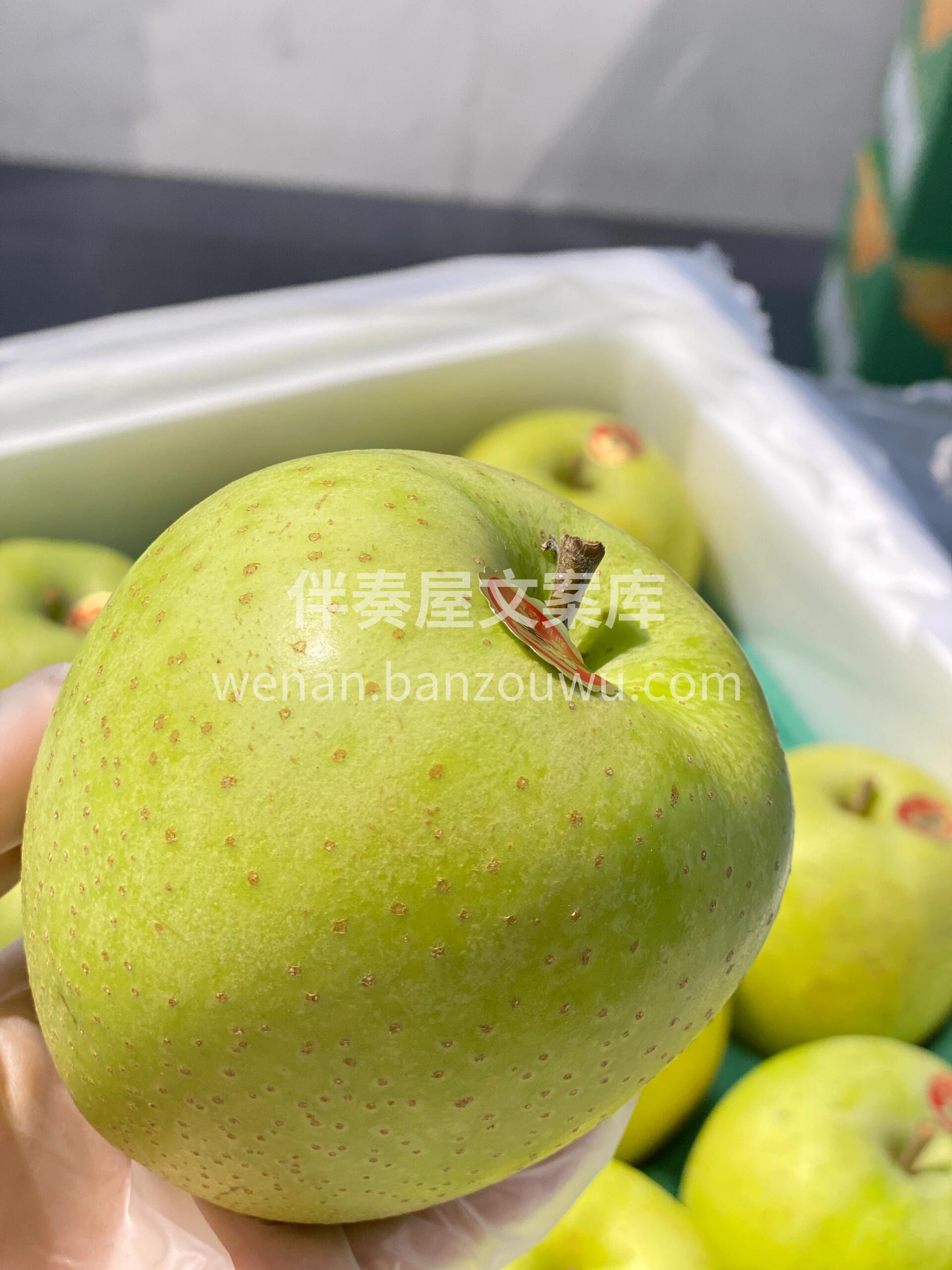 🍏王林苹果 吃一次想一年苹果‼️ 酥脆甜 配图1