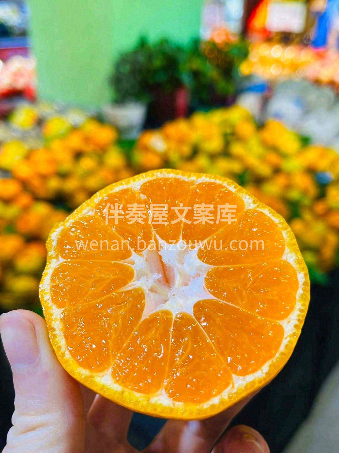 蜜橘新鲜到货了🎉🎉 零污染核心产区，原始 配图2