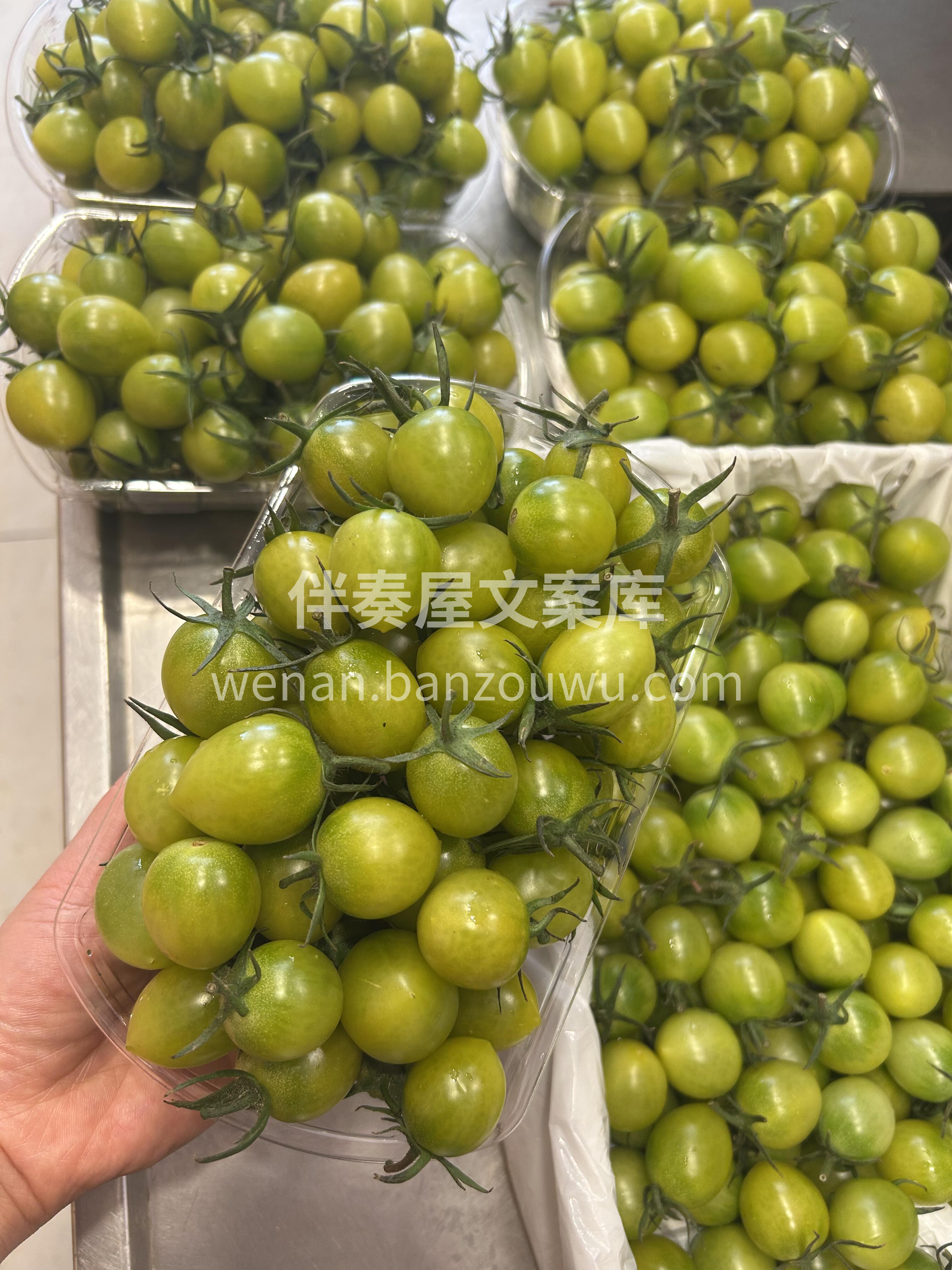 🌿这款青口蜜，完全不用担心涩口的青番茄👍 配图3