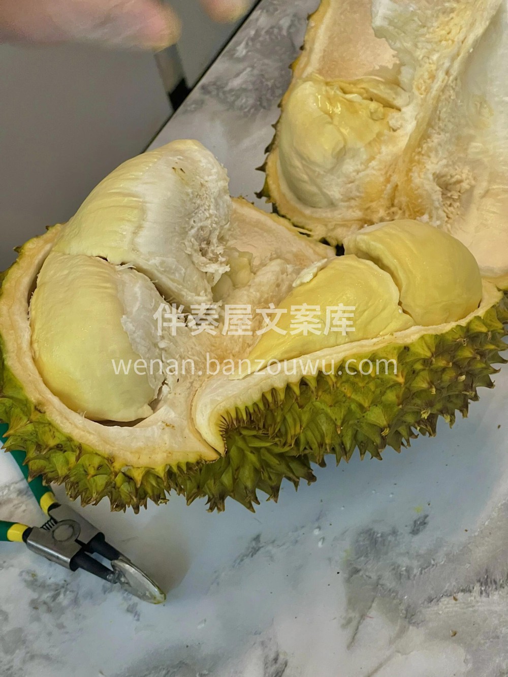 分享今天开的金枕榴莲‼️ 连续开了两个榴 配图2