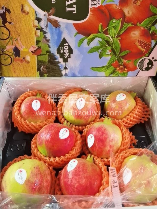 IPAHAT俄版软籽石榴 ～突尼斯软籽石 配图2