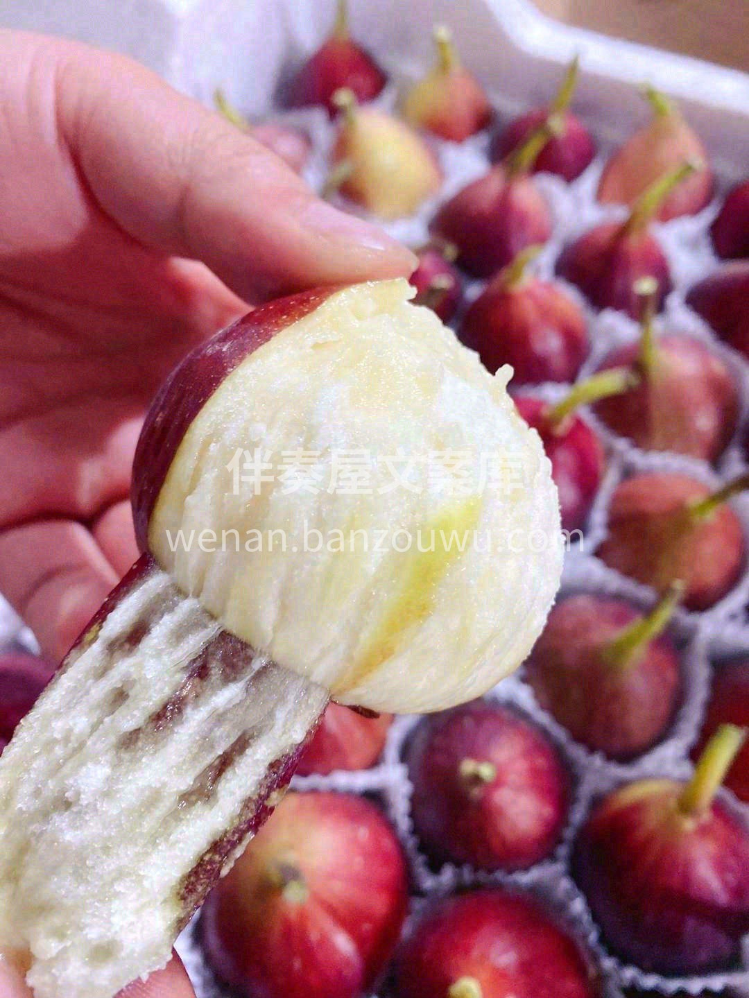 🌸带着水果的甘冽、花朵的芬芳，清冽甘醇🍭 配图1