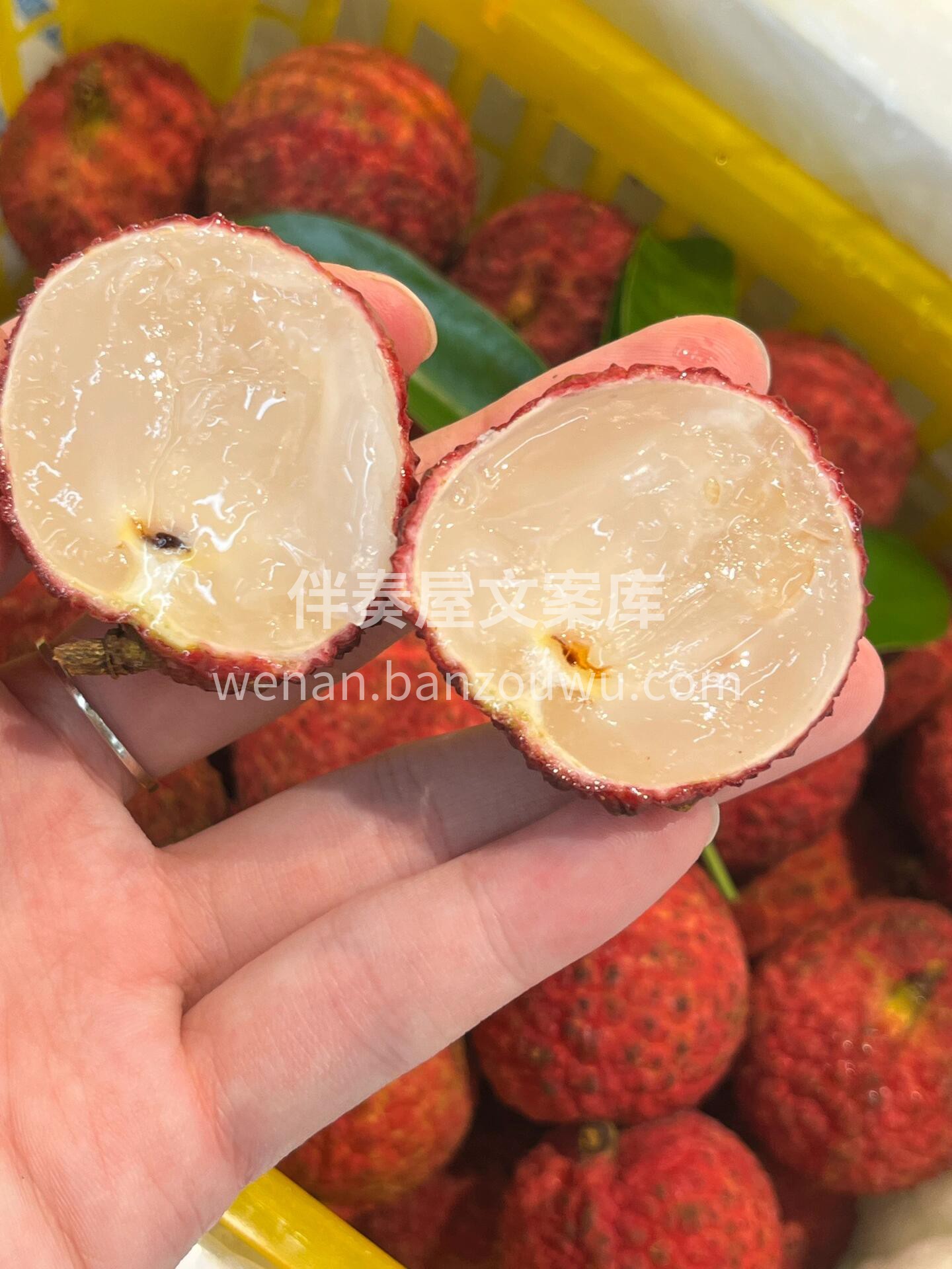 无核荔枝🌿🌿 👉不仅没有核，个头还很大， 配图1