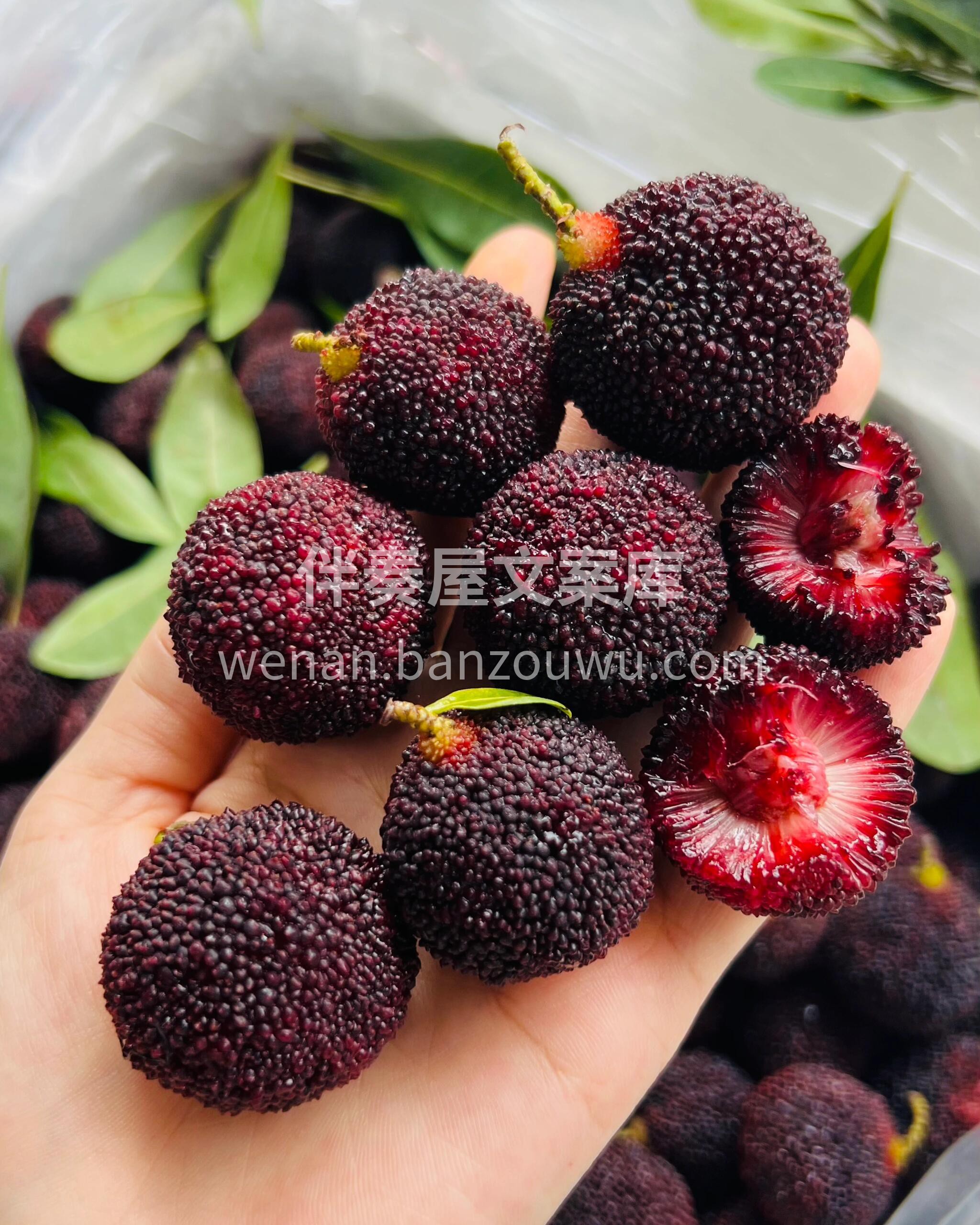 初夏的季节🔆 ，来一颗酸甜爽口的“果汁炸 配图1