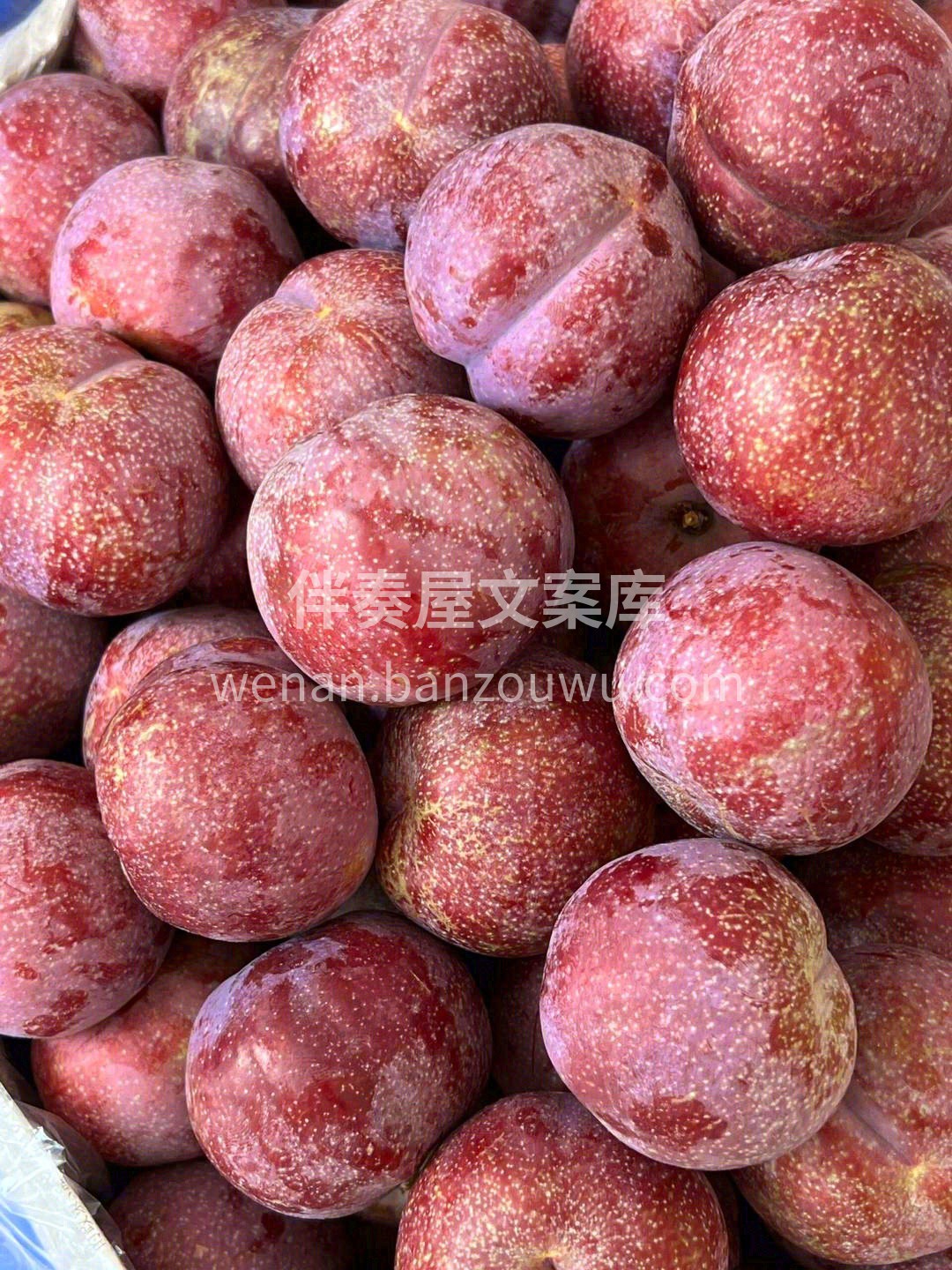 💥鲜红爽脆的果肉，咬下满满都是酸甜可口的 配图2