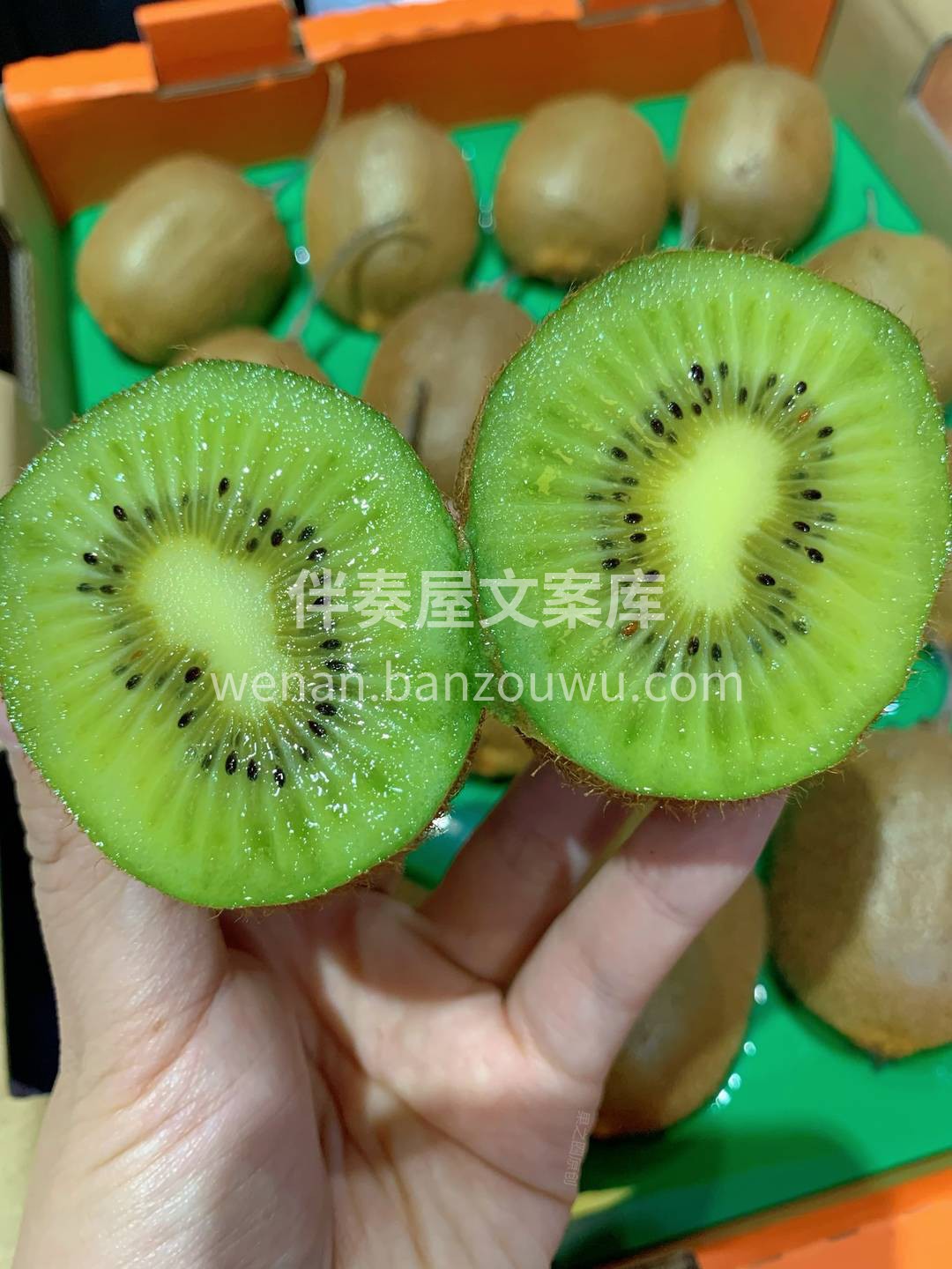 🌿徐香猕猴桃是大自然中最富活力的猕猴桃， 配图2