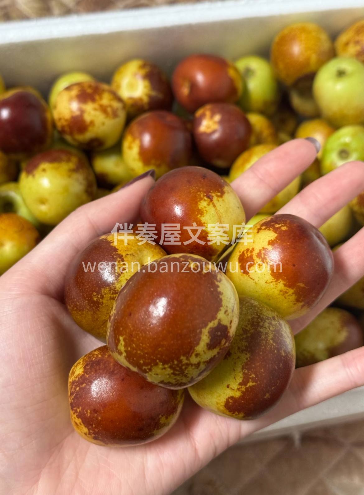 【🔥都是好评💯，卖不停😍😍👍】 当季新鲜 配图1