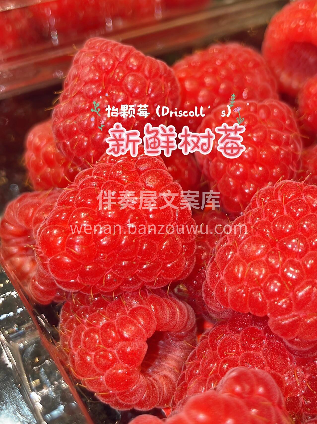 红树莓||颗颗晶莹剔透💓 特别新鲜，满满 配图1