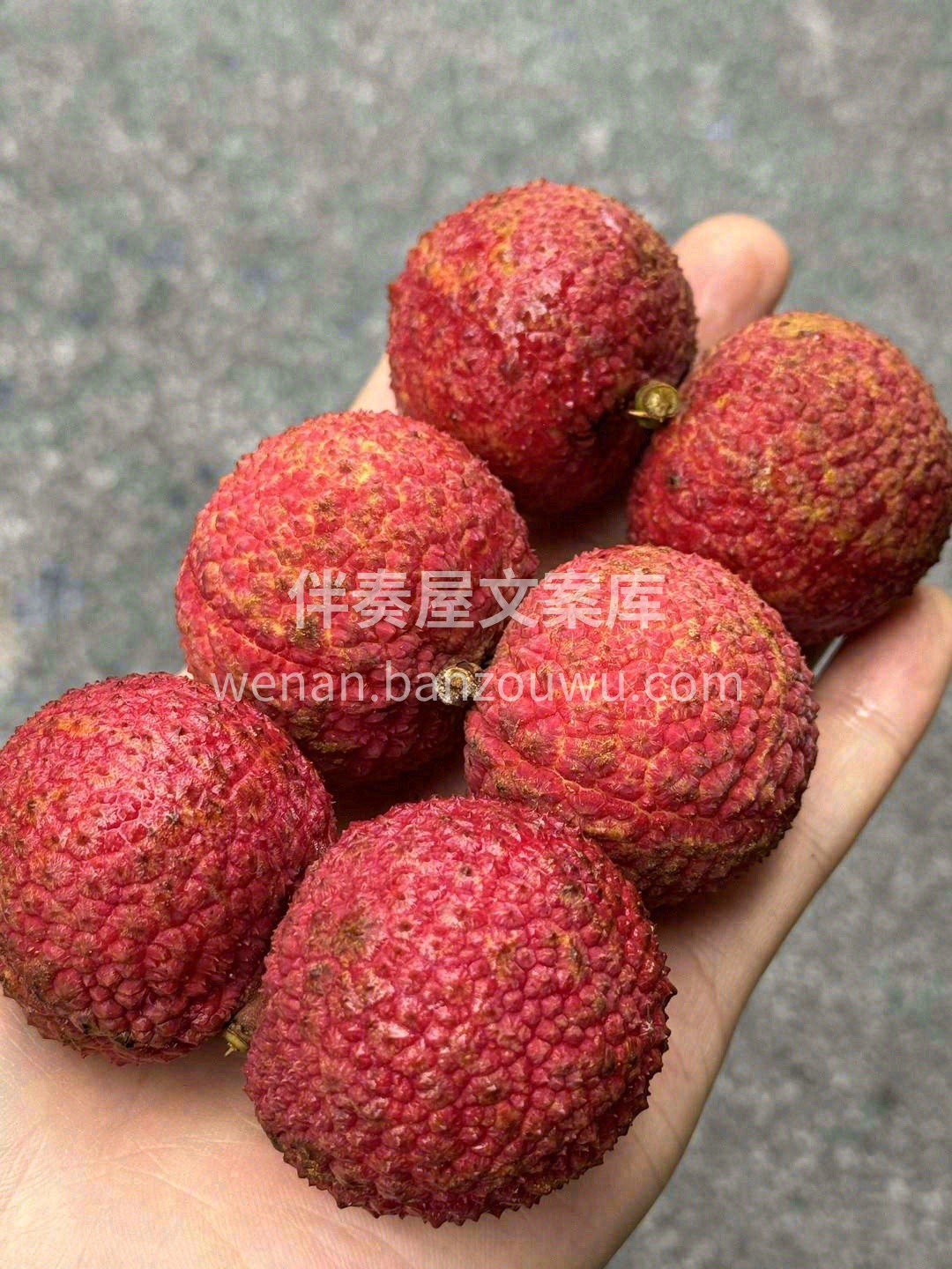 没有吃过无核荔枝，永远没法体会到她给你带 配图2