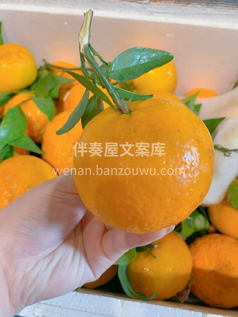 初入口便带着阳光??的味道，那瞬间在口中 配图1