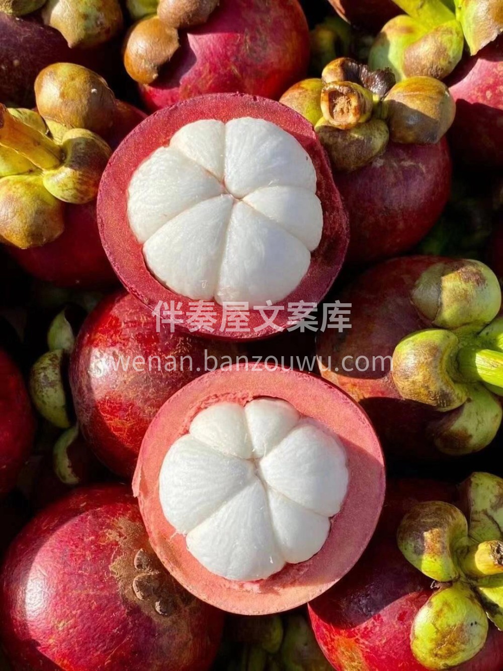 🌞阳光下的山竹，😊可可爱爱的小白胖子，入 配图2